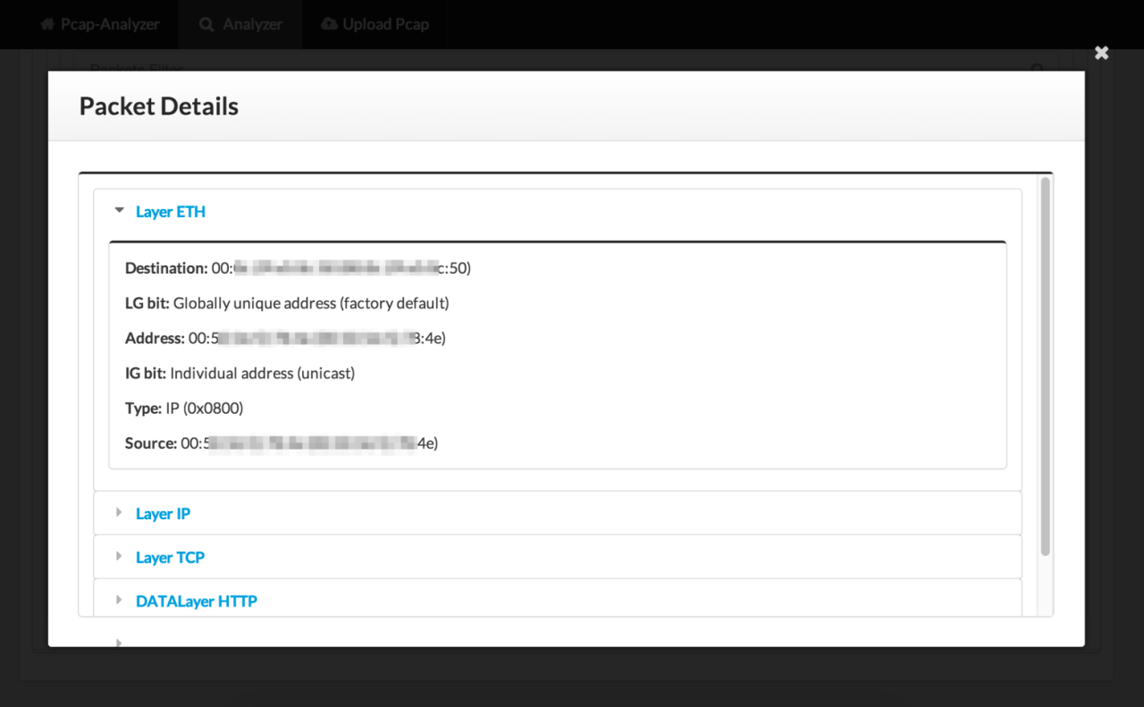 pcap-analyzer-04